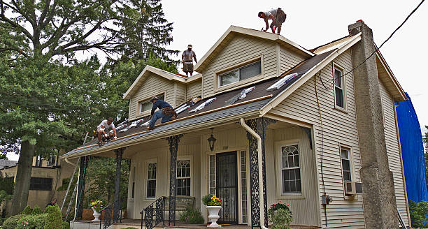 Best Storm Damage Roof Repair  in Pine Level, NC